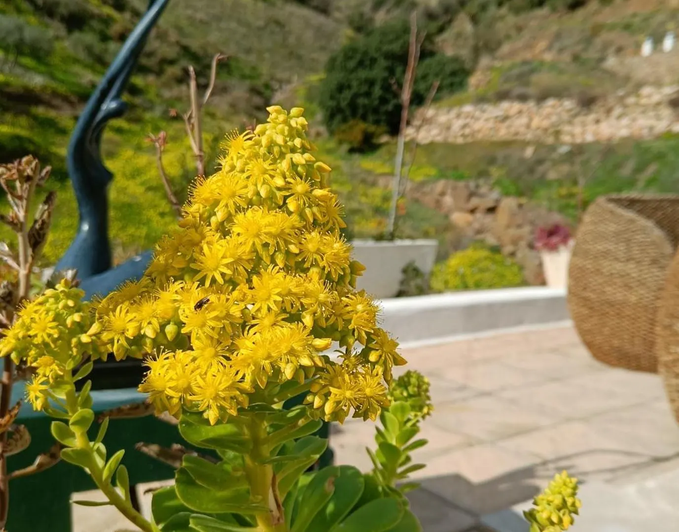 Holiday home Casa Medina - Private Villa With Terrace And Sea View, 25 Minutes From Malaga Moclinejo